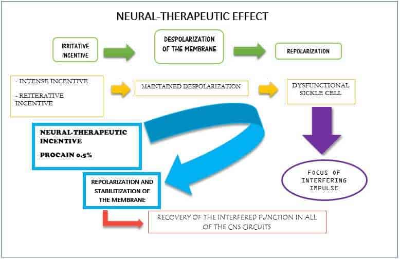 DIAGRAMA NEURAL THERAPY DIAGRAMA NEURAL THERAPY