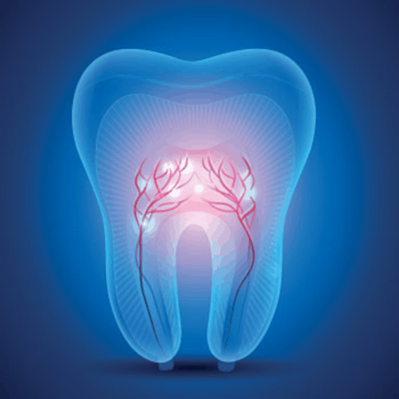 Have questions? Send us a message & we respond at soon possible.