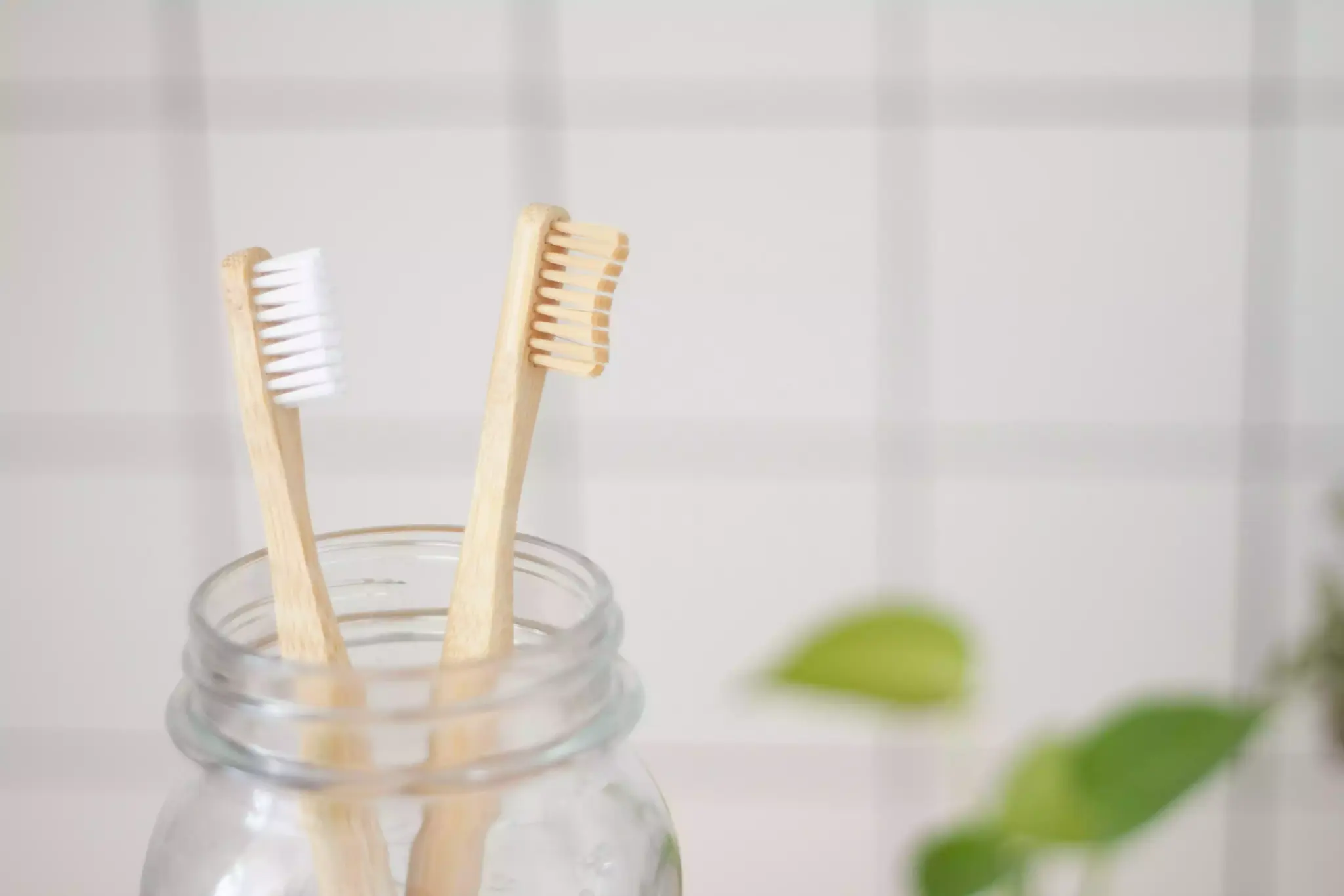 natural dental care